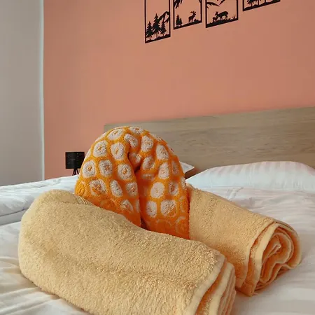 Apartman Apartma Irena *