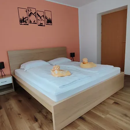 Apartma Irena *